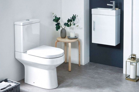 Picture of a cloakroom suite including toilet and basin