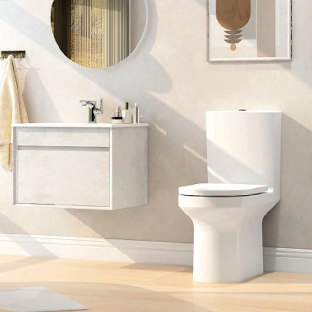 Picture of a close coupled toilet