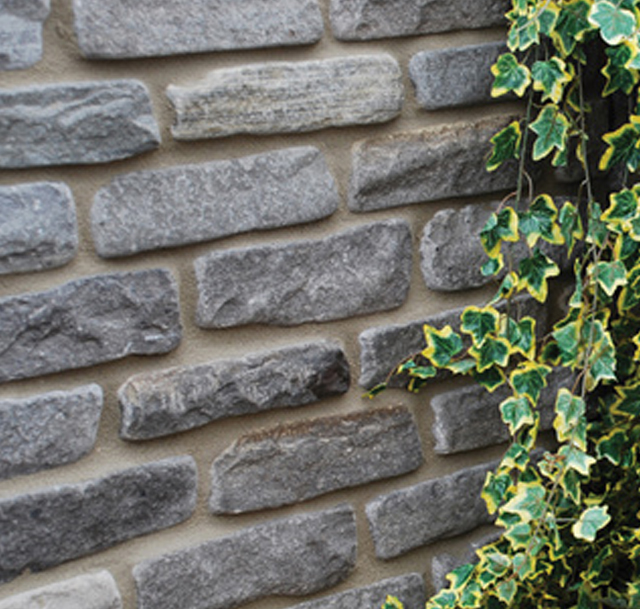 Picture of a garden wall