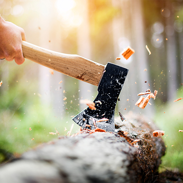 Picture of an axe chopping wood