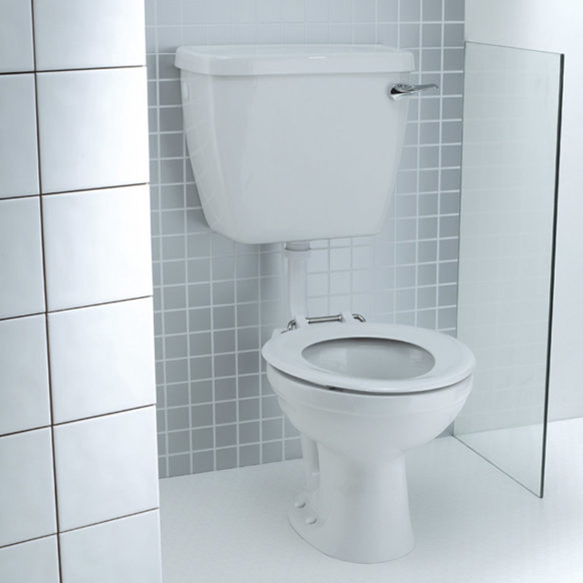 Picture of a low level toilet