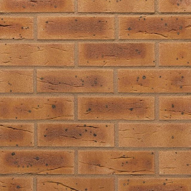 Picture of facing bricks