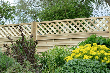 Picture of fence trellis in a garden
