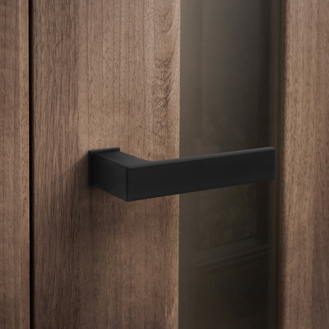 Picture of black door handle