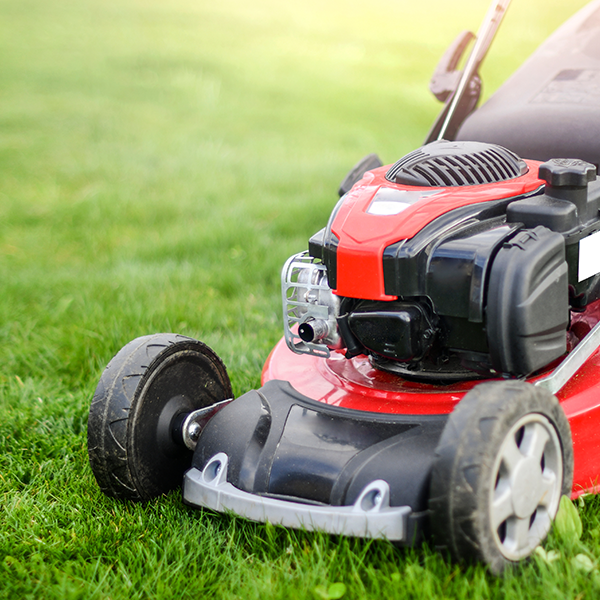 Picture of a lawnmower